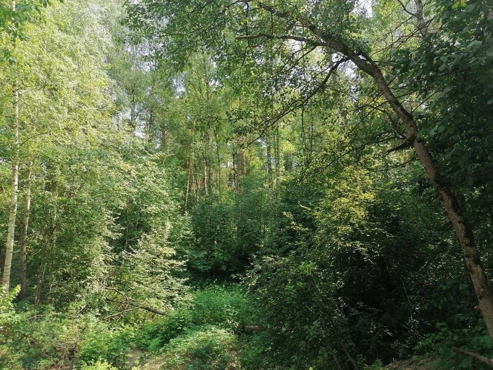 
Элитный поселок «Сосны» расположился в Одинцовском районе, всего в 24 километрах от МКАДа. Это один из самых респектабельных коттеджных поселков Рублевки. Он расположен на Николиной Горе и совсем близко от одного из самых старых столичных дачных кооперативов «РАНИС», где отдыхает весь цвет московск