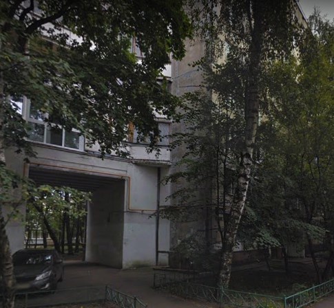 В шаговой доступности от дома главная достопримечательность района, жемчужина архитектурного искусства XVIII века – усадьба «Кусково» дворцово-парковый комплекс где можно посетить крупнейший в России частный зверинец, порыбачить в пруду, покататься на качелях-каруселях. Московский Театр иллюзии, теа