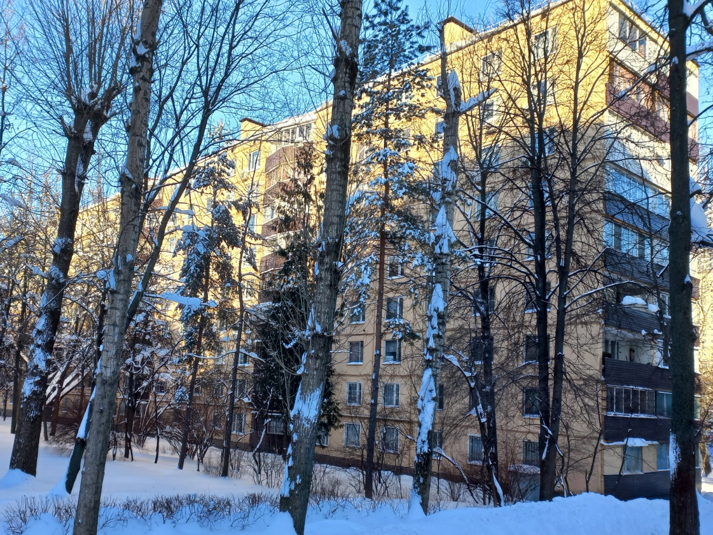 Один из лучших, хорошо сформированных спальных районов,
Экологически благоприятный, грамотно спланирован и наполнен необходимой инфраструктурой.
В шаговой доступности от дома центр досуга и творчества молодежи «Виктория» и детско-юношеский центр. Дом творчества «Исток» и детская музыкальная школа. С