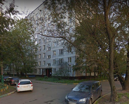 Спальный, чистый и зеленый район. В шаговой доступности от дома Гольяновский парк,с баскетбольной площадкой и теннисным кортом, искусственный Гольяновский пруд. Заповедник «Лосиный остров» - крупнейший лесной массив в Москве. В нем встречаются лоси, олени, зайцы, лисы, бобры, белки, 170 видов птиц. 