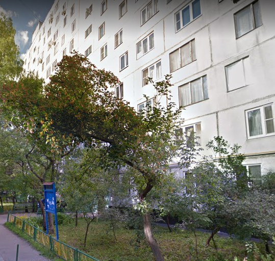 Спальный район Москвы. В шаговой доступности от дома Школьный парк, с детской площадкой, уложенным синтетическим покрытием и уличными фонарями. Дворы благоустроены в стиле венецианского двора и версальского дворика со скульптурами и альпийскими горками. Дом культуры «Дружба» с множеством творческих 