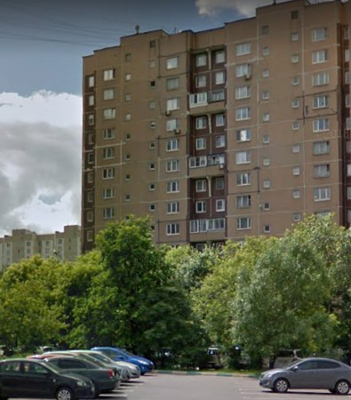 Район Москвы, является частью столицы и Восточного округа с прекрасной экологией. В нем отсутствуют вредные производства.
В шаговой доступности от дома есть Суздальский пруд и часть территории Салтыковского лесопарка, возраст многих деревьев в котором достигает 100 лет. Тысяча гектаров зеленого «мор